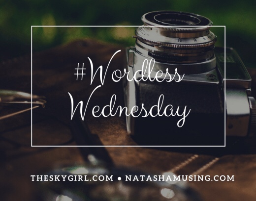 wordless-wednesday-natasha-musing-logo