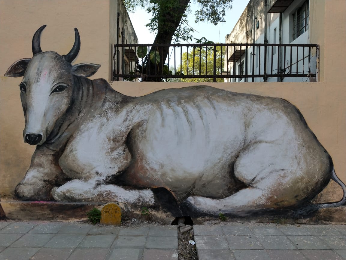 wordless-wednesday-natasha-musing-lodhi-art-district-cow