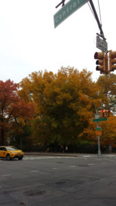 Traffic light at Central Park West with couple and pedestrian walking