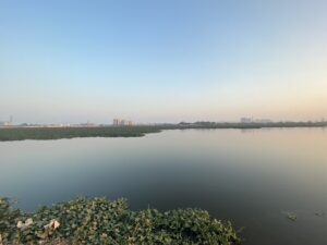 Basai Wetland - horizon