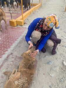 Lady loving- mountain dog-Patthar Sahib