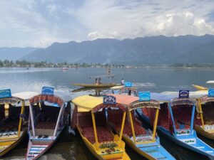 Dal Lake- Shikaras