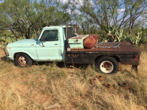 Rusty Blue truck - Forest