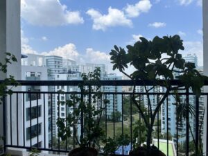 Clouds-balcony-plants