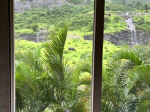 Window view-waterfalls-bovine-hills