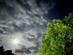 Tree-leaves-full-moon-clouds