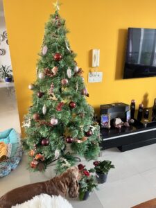 Christmas tree -home tree