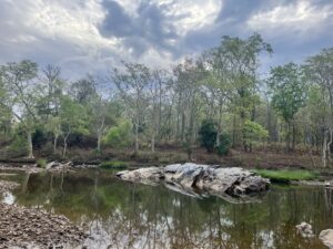 River-Rocks-Sky-Teee-Banjar river-Kanha forest