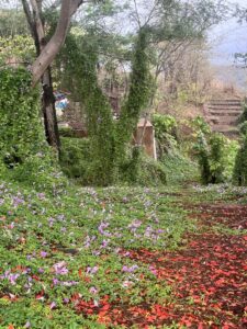 pathway-staircase-flowers