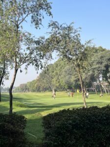 Golf course-greens and trees